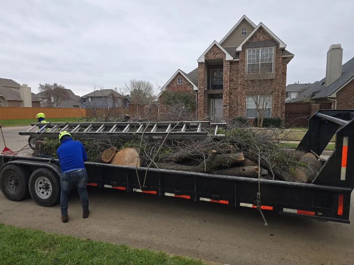 Expert Tree Pest Control with proper safety equipment in Faith